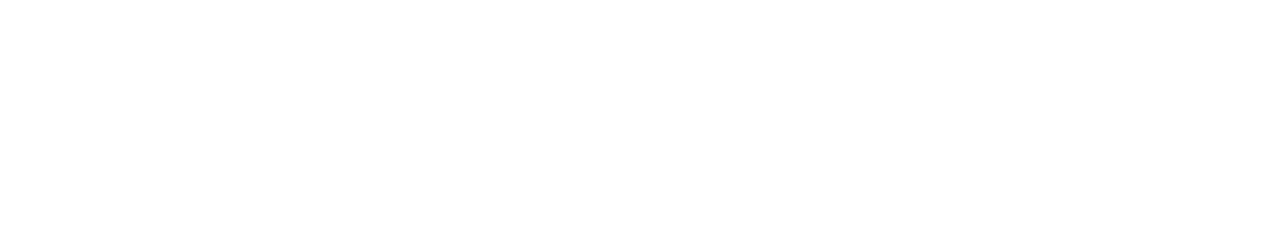 FlexScreen - RiteScreen - Logo - PNG - Long